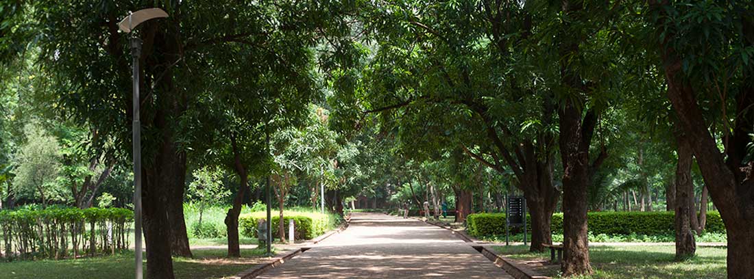 Projet de parc public sur la rive droite MW